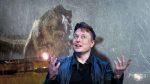 «Elon Musk vuelve a poner sobre la mesa la posibilidad de crear un “Jurassic Park” real»