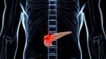 «EE.UU. aprueba nuevo medicamento contra el cáncer de páncreas avanzado»